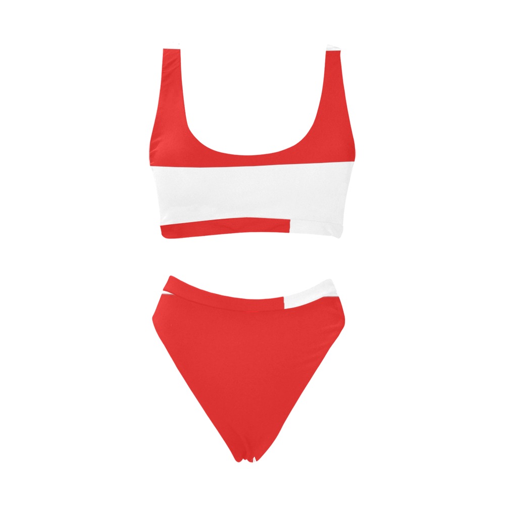 Passion To Profit Sport Top & High-Waisted Bikini Swimsuit (Model S07)