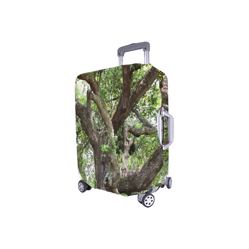 Oak Tree In The Park 7659 Stinson Park Jacksonville Florida Luggage Cover/Small 18"-21"