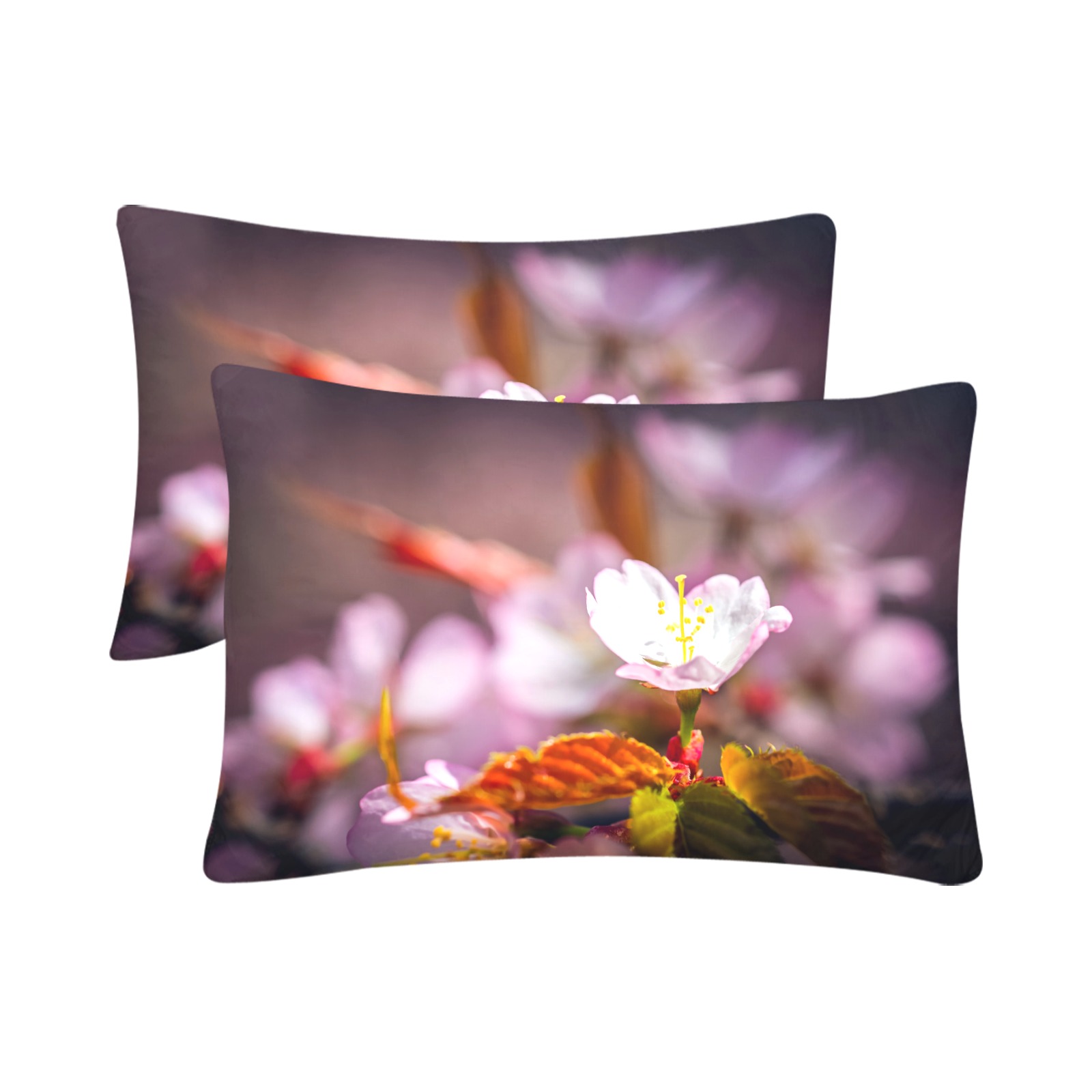 Sakura cherry flower enjoys sunshine in spring. Custom Pillow Case 20"x 30" (One Side) (Set of 2)