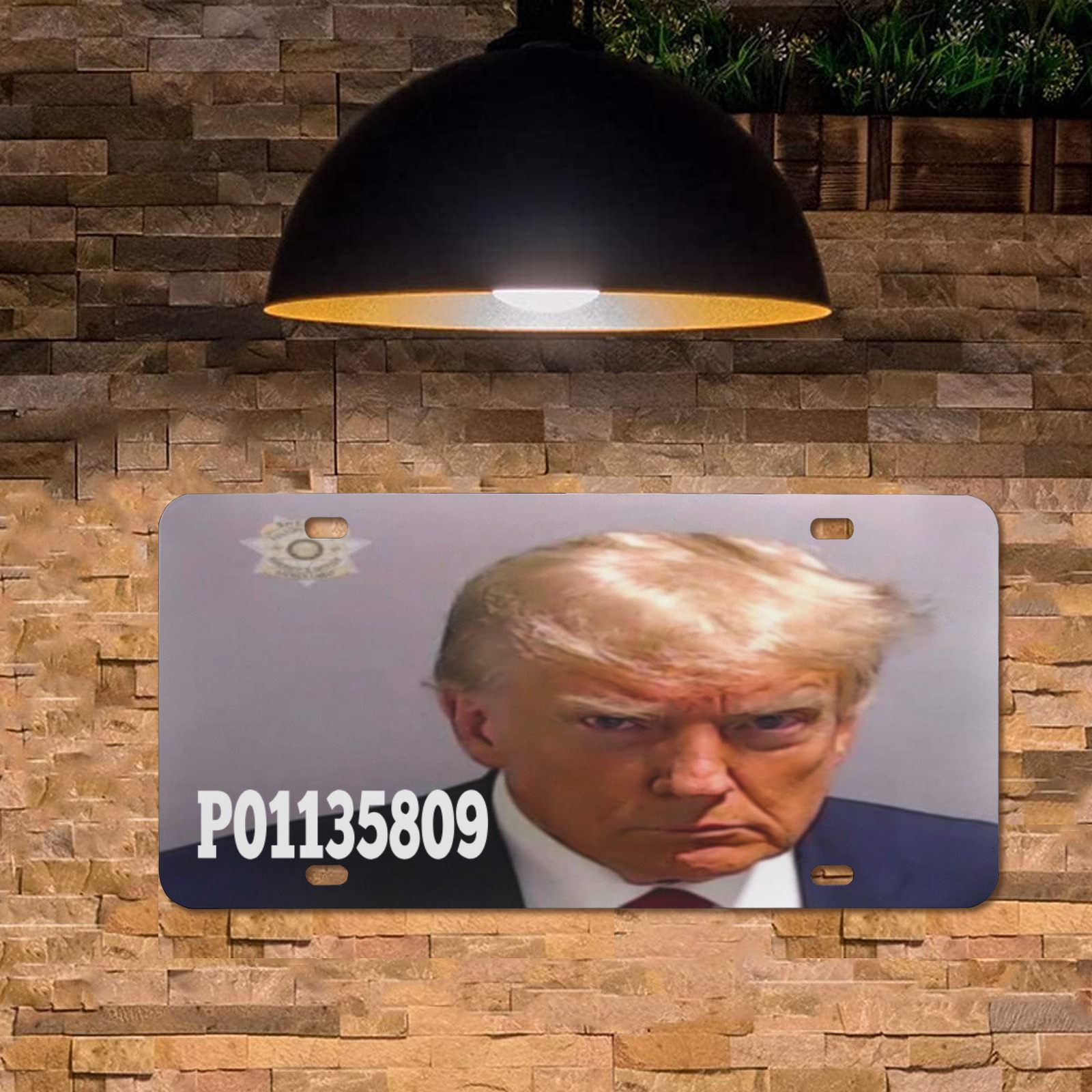 Trump Lis. Custom License Plate