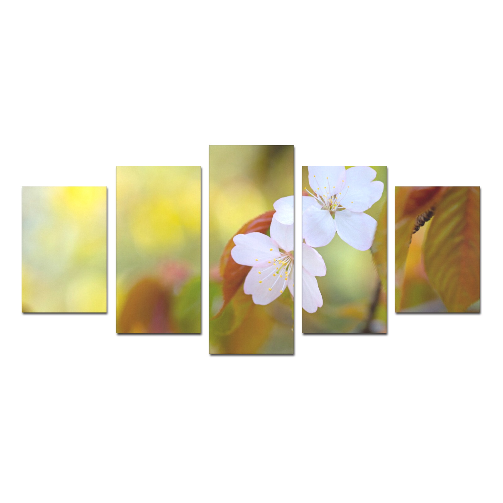 Two sakura cherry flowers, colorful background. Canvas Print Sets D (No Frame)