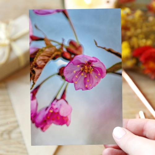 The beginning of the Hanami season. Sakura magic.