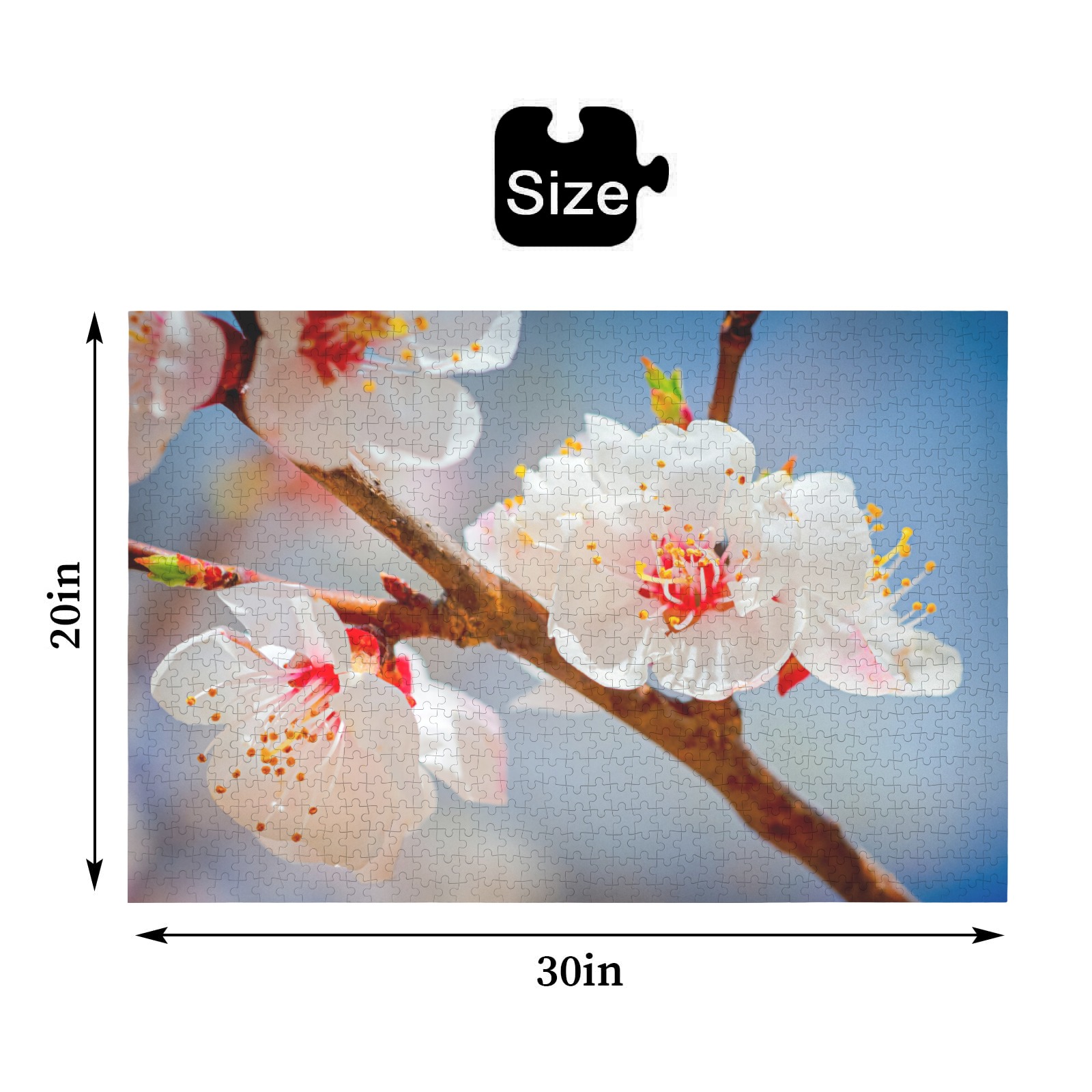 Japanese apricot flowers. Enjoy Hanami season. 1000-Piece Wooden Jigsaw Puzzle (Horizontal)
