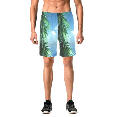 caribbean landscape collectable fly Men's All Over Print Elastic Beach Shorts (Model L20)