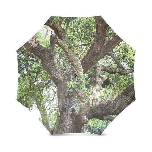 Oak Tree In The Park 7659 Stinson Park Jacksonville Florida Foldable Umbrella (Model U01)