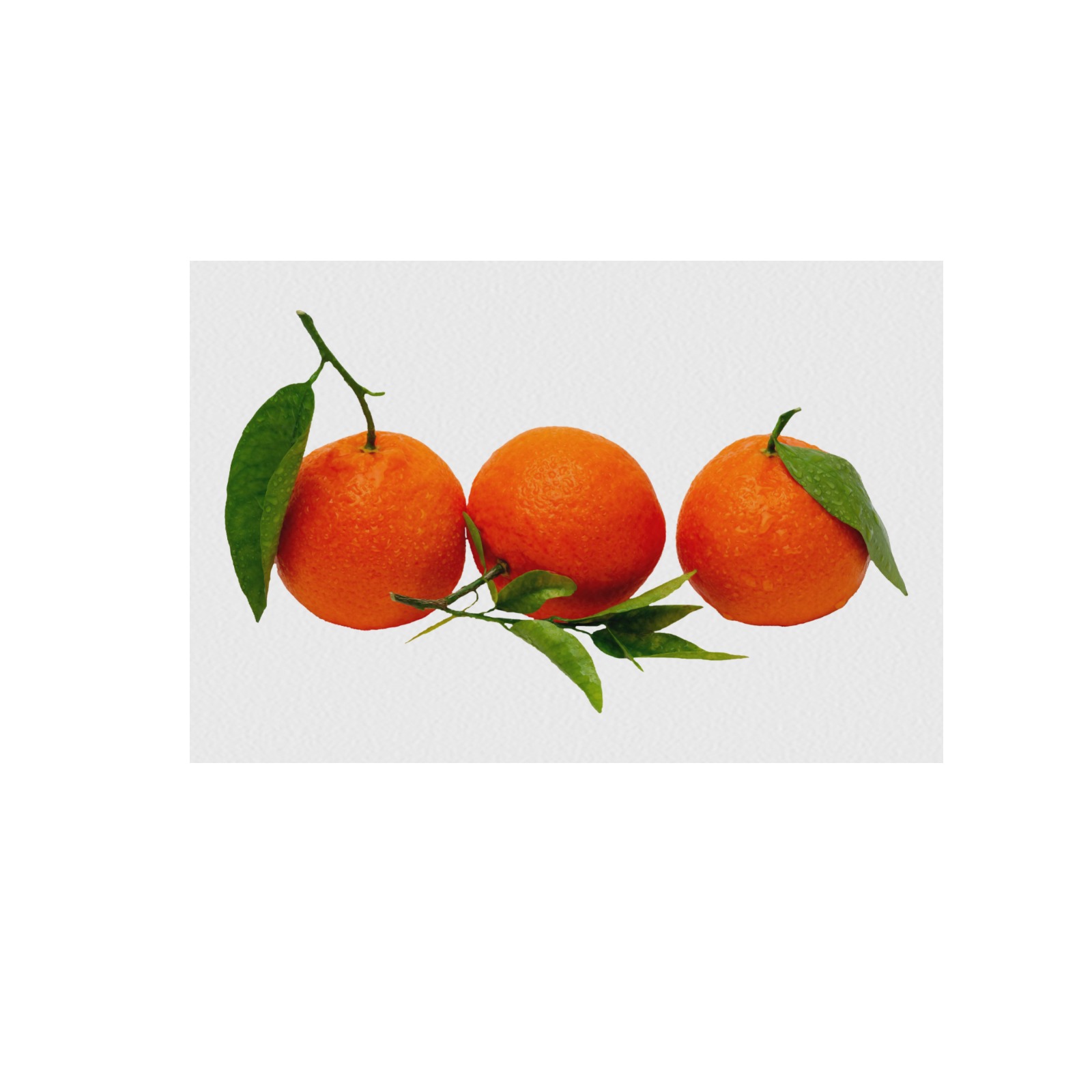 Three Sweet Orange Tangerine Fruits Frame Canvas Print 48"x32"