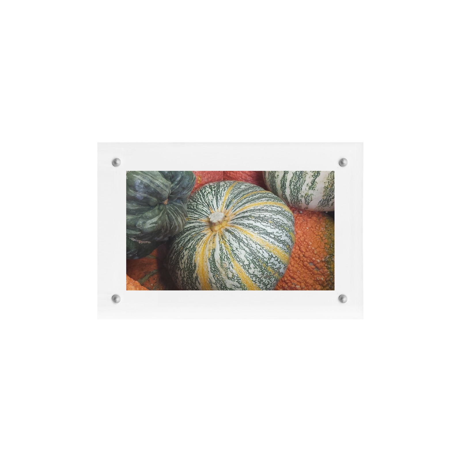 Gourds Acrylic Magnetic Photo Frame 6"x4"