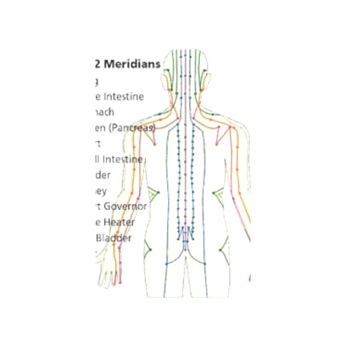 Meridians points for massage. Art Print 19‘’x28‘’