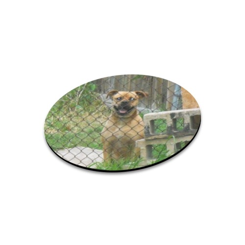 A Smiling Dog Round Mousepad