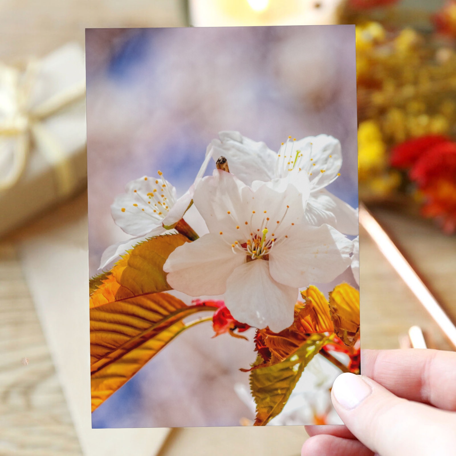 Elegance of white Japanese sakura flowers. Greeting Card 4"x6"