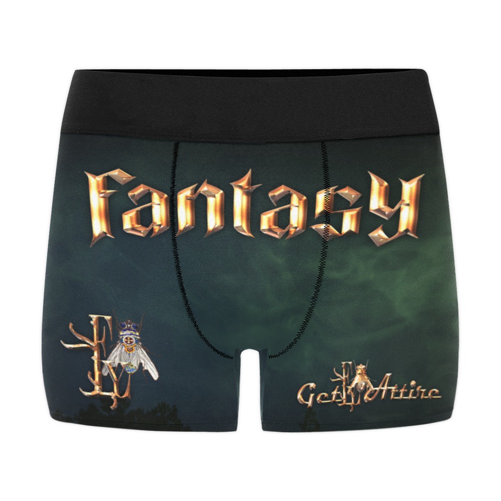Fantasy Collectable Fly Men's All Over Print Boxer Briefs (Model L10)