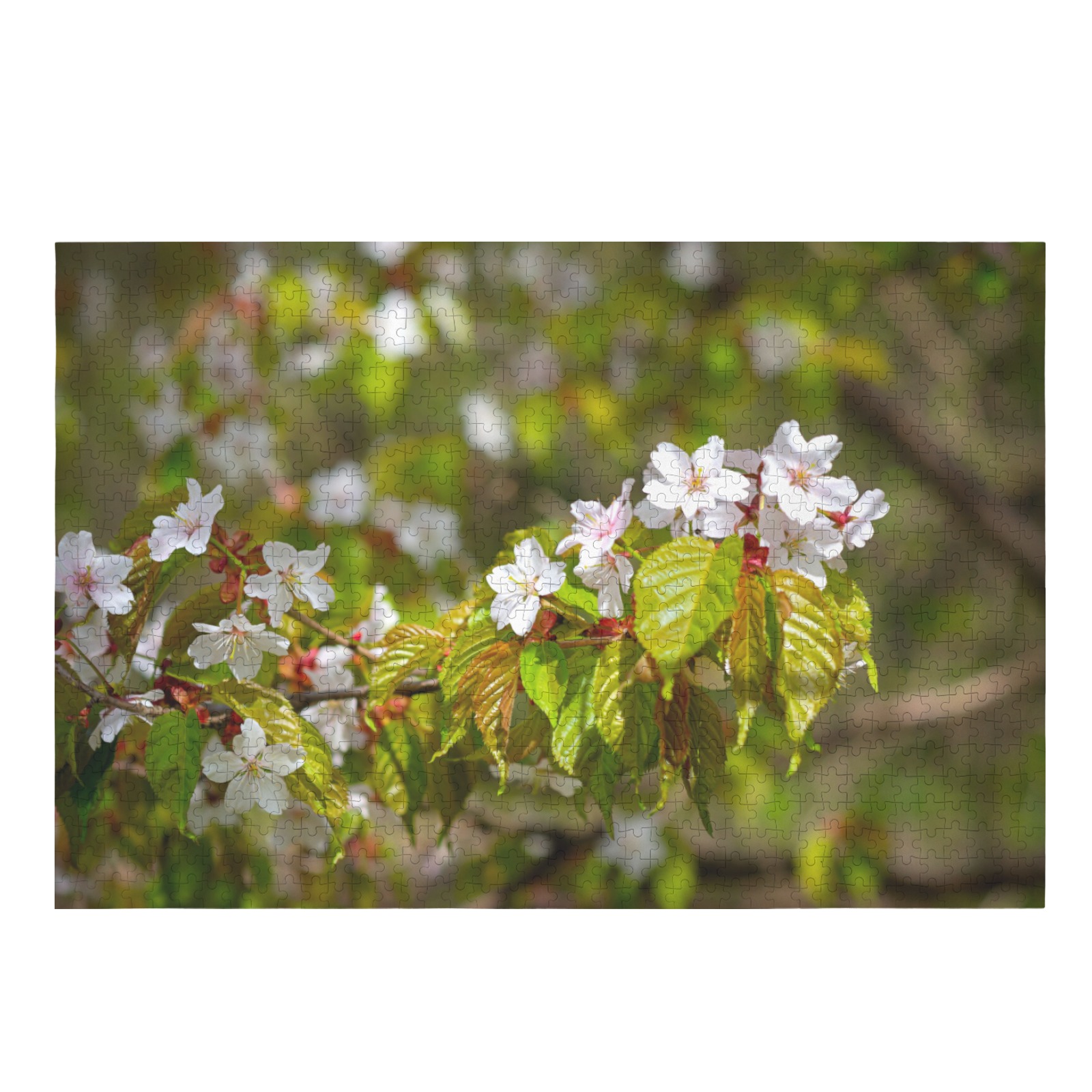 A row of sakura cherry flowers on a tree in spring 1000-Piece Wooden Jigsaw Puzzle (Horizontal)