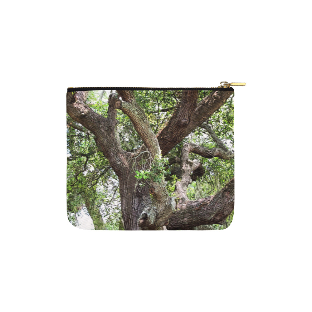 Oak Tree In The Park 7659 Stinson Park Jacksonville Florida Carry-All Pouch 6''x5''