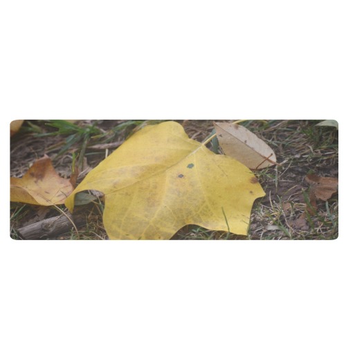 Elegance of Autumn