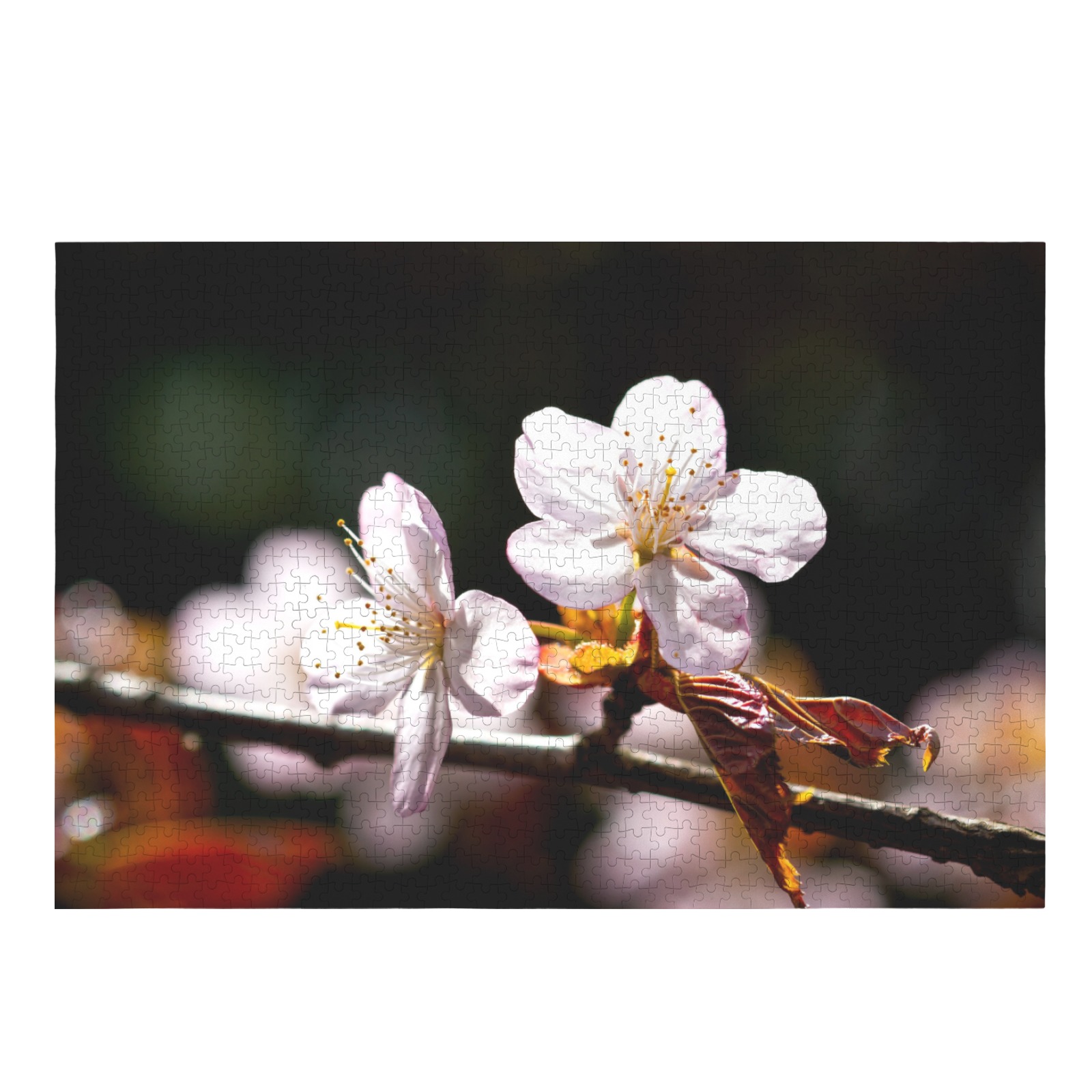 Sunlit sakura flowers. Play of light and shadows. 1000-Piece Wooden Jigsaw Puzzle (Horizontal)