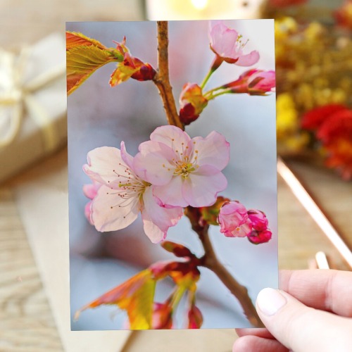 Beauty and magic of blossoming sakura cherry tree. Greeting Card 4"x6"