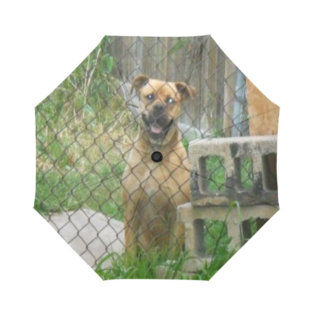 A Smiling Dog Auto-Foldable Umbrella (Model U04)