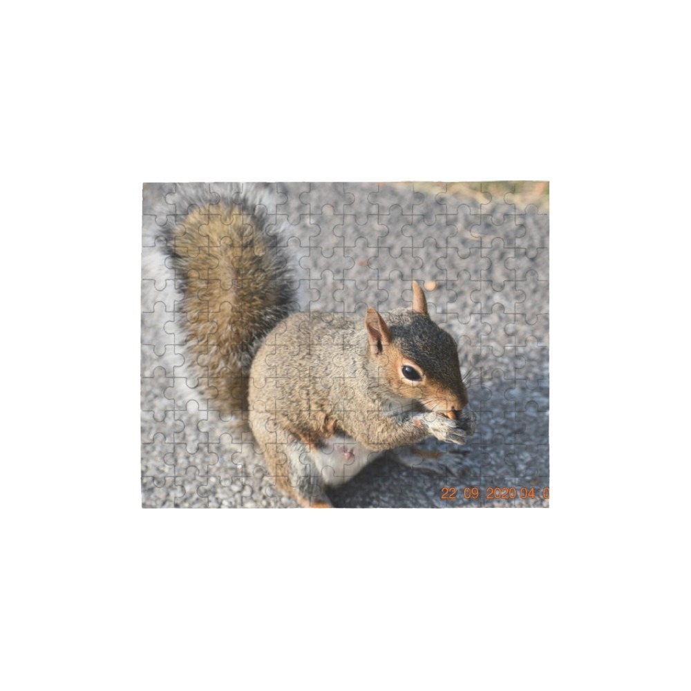 The Friendly Squirrel 120-Piece Wooden Photo Puzzles