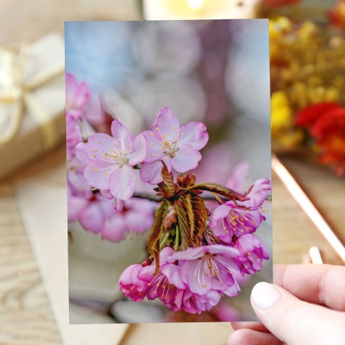 Beautiful pink sakura cherry blossoms in spring. Greeting Card 4"x6"