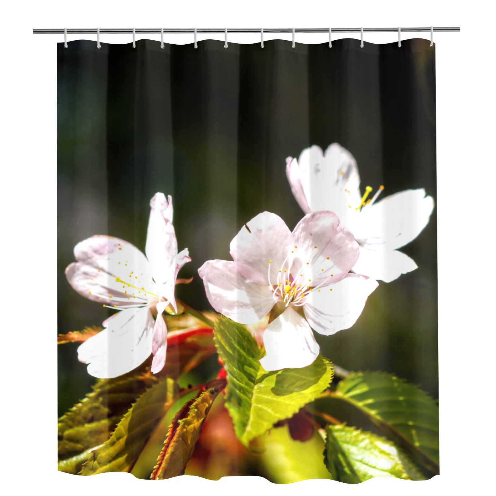 Sakura flowers enjoy sunshine. Hanami season magic Shower Curtain 72"x84"