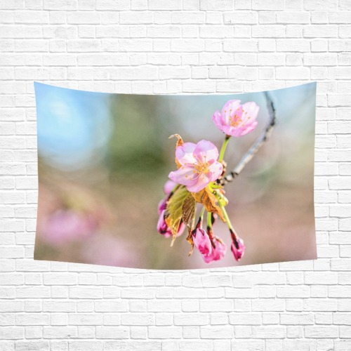 Simplicity and beauty. Japanese sakura flowers.