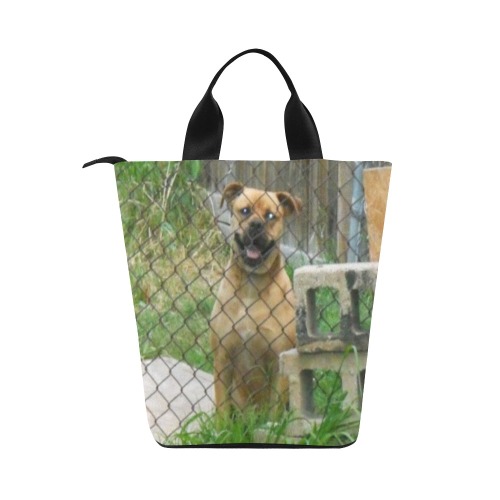 A Smiling Dog Nylon Lunch Tote Bag (Model 1670)