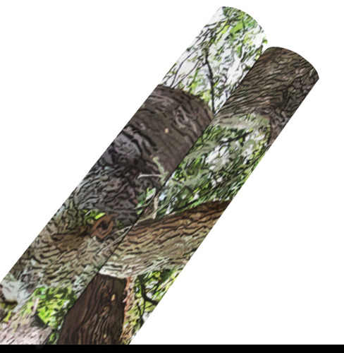 Oak Tree In The Park 7659 Stinson Park Jacksonville Florida Gift Wrapping Paper 58"x 23" (2 Rolls)