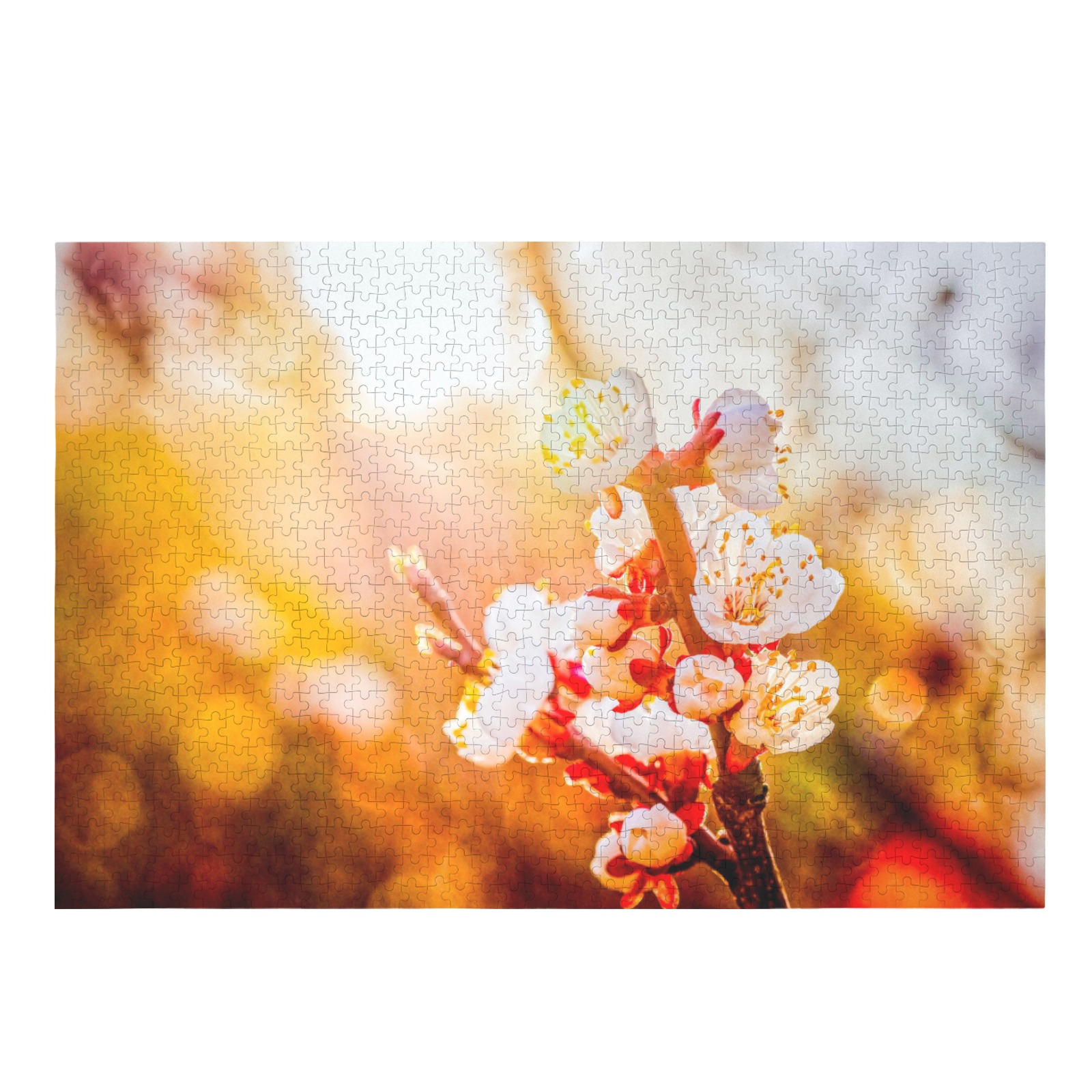 Japanese apricot flowers in the light of sunset. 1000-Piece Wooden Jigsaw Puzzle (Horizontal)
