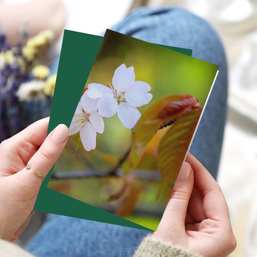 Two sakura cherry flowers, colorful background.