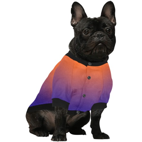 slice of rainbow Pet Dog Round Neck Shirt