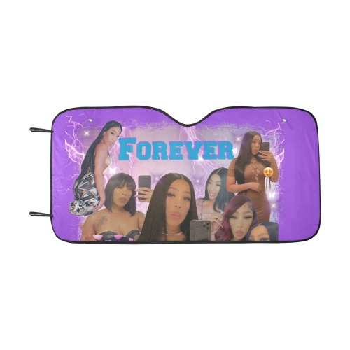 car shade