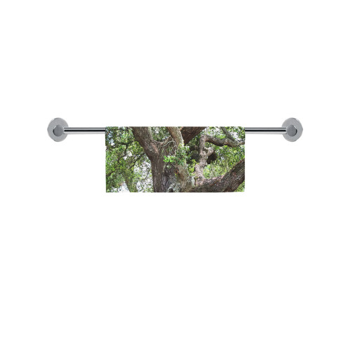 Oak Tree In The Park 7659 Stinson Park Jacksonville Florida Square Towel 13“x13”