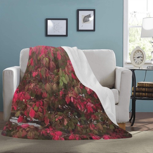 Changing Seasons Collection Ultra-Soft Micro Fleece Blanket 60"x80"