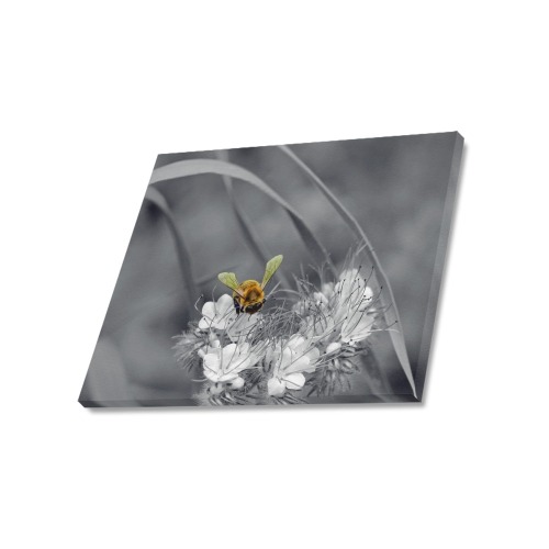 Black & White Single Bumblebee On A Flower Photograph Canvas Print 20"x16"