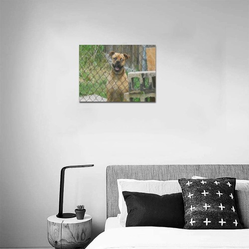 A Smiling Dog Canvas Print 14"x11"