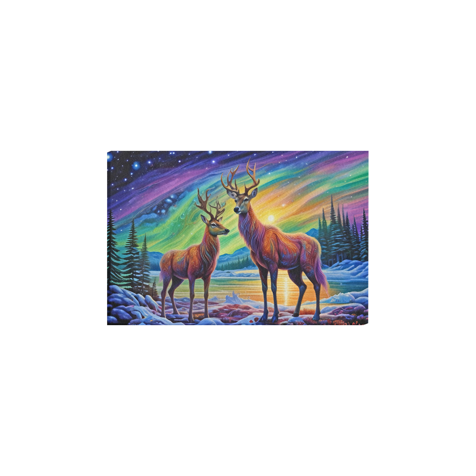 Guardians of the Aurora Frame Canvas Print 30"x20"