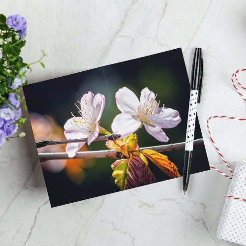 Slender sakura flowers. Sunlight and shadows. Greeting Card 8"x6"