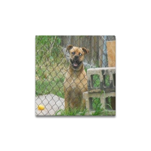 A Smiling Dog Canvas Print 12"x12"