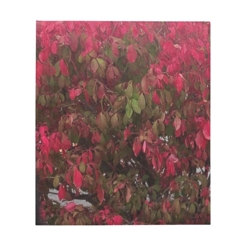 Changing Seasons Collection Quilt 60"x70"