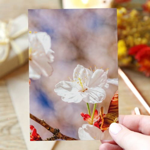 Adorable Japanese sakura flowers in the garden. Greeting Card 4"x6"