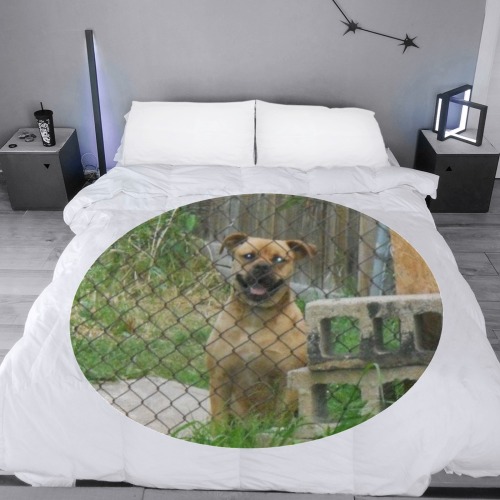 A Smiling Dog Circular Ultra-Soft Micro Fleece Blanket 47"