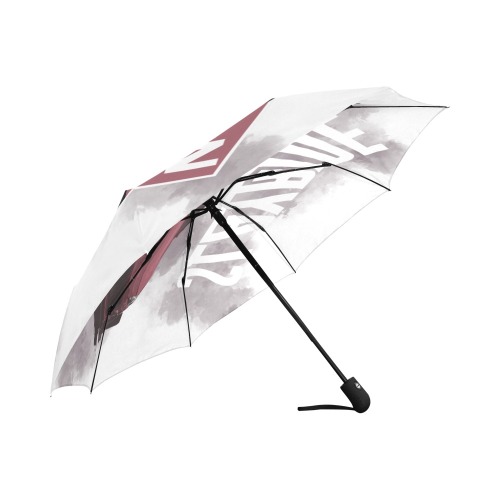Umbrella brz Auto-Foldable Umbrella (Model U04)