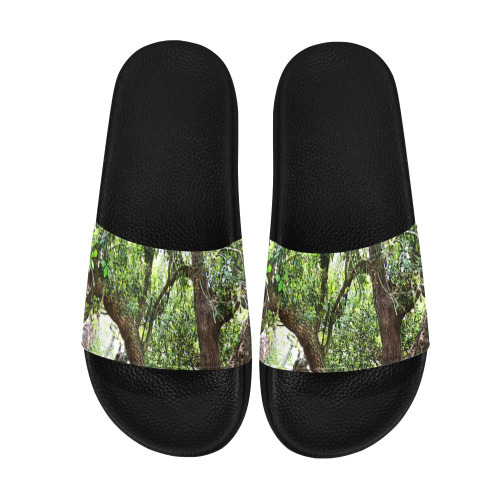 Oak Tree In The Park 7659 Stinson Park Jacksonville Florida Men's Slide Sandals (Model 057)