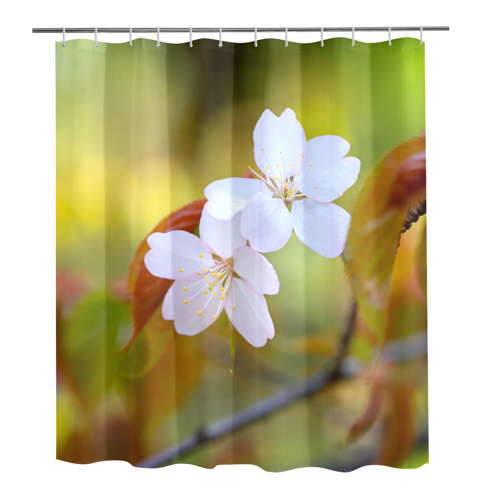 Two sakura cherry flowers, colorful background. Shower Curtain 72"x84"