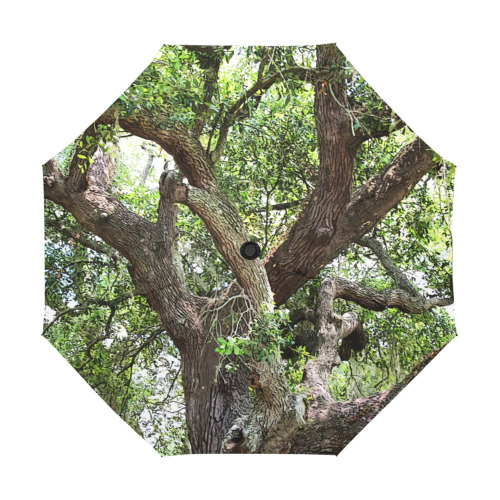 Oak Tree In The Park 7659 Stinson Park Jacksonville Florida Anti-UV Auto-Foldable Umbrella (U09)