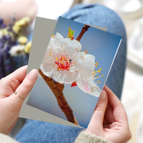 Japanese apricot flowers. Enjoy Hanami season. Greeting Card 8"x6"