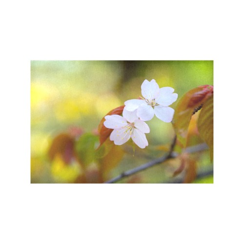 Two sakura cherry flowers, colorful background. Placemat 12’’ x 18’’ (Set of 6)