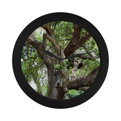 Oak Tree In The Park 7659 Stinson Park Jacksonville Florida Circular Plastic Wall clock