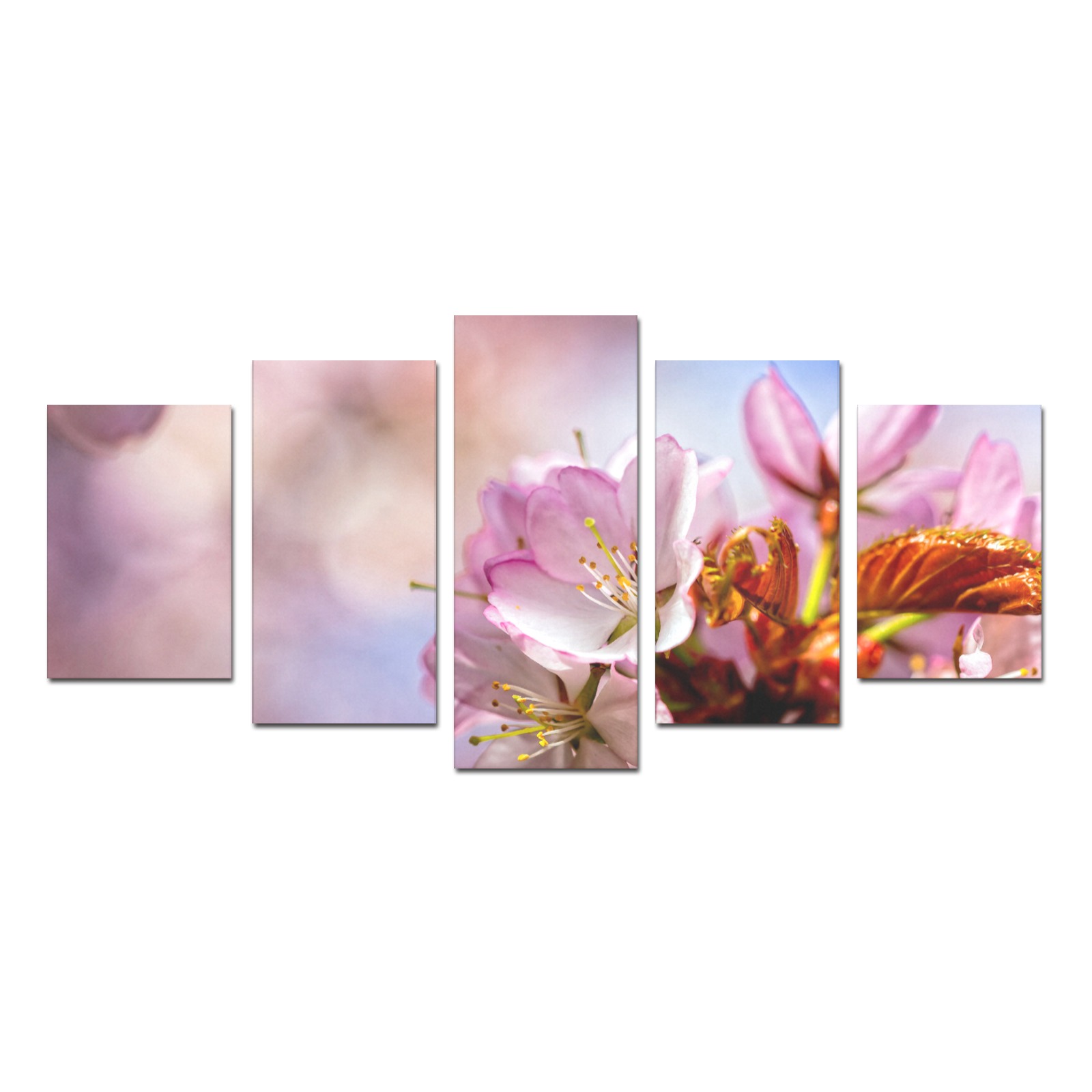 Short life, eternal magic of sakura cherry flowers Canvas Print Sets D (No Frame)