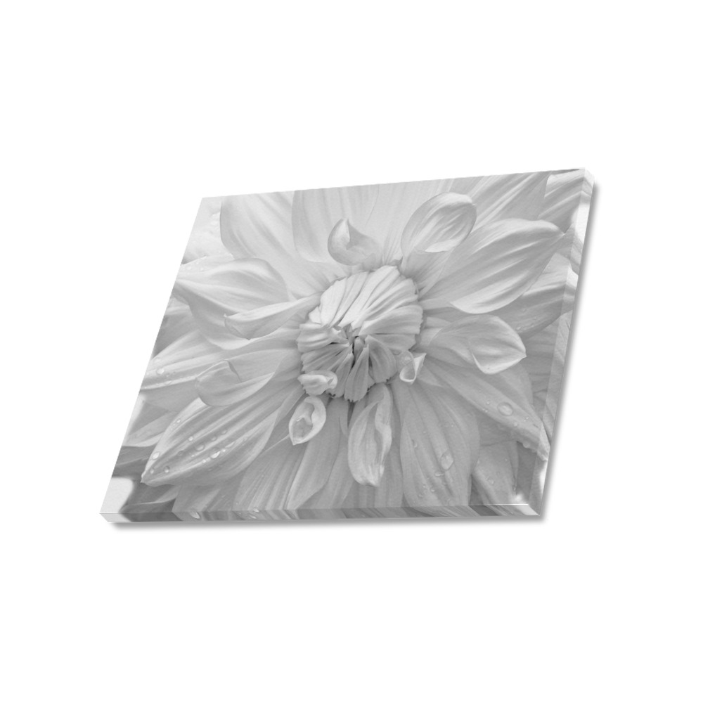 Extreme Closeup Of White Flower Photograph Canvas Print 20"x16"